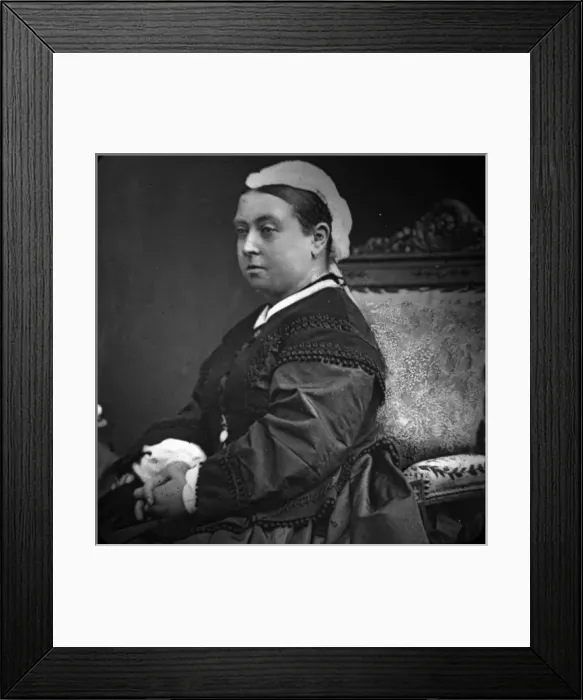 Framed Print : Portrait of the Queen Framed Print : Portrait of the Queen