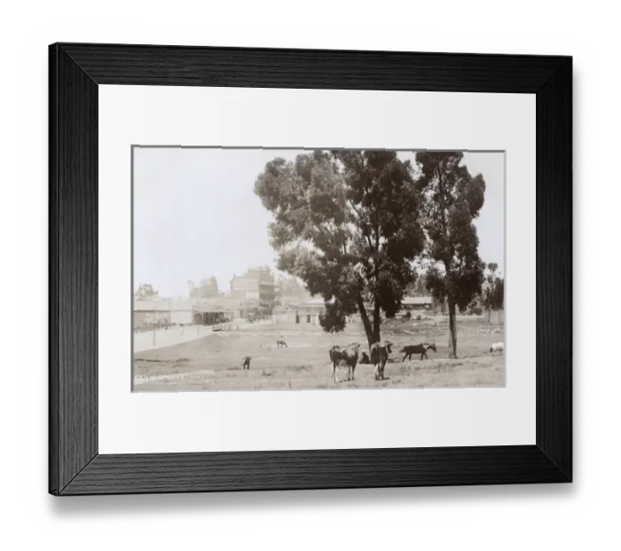 Framed Print : Knox Street, Germiston, Transvaal, South Africa Framed Print : Knox Street, Germiston, Transvaal, South Africa