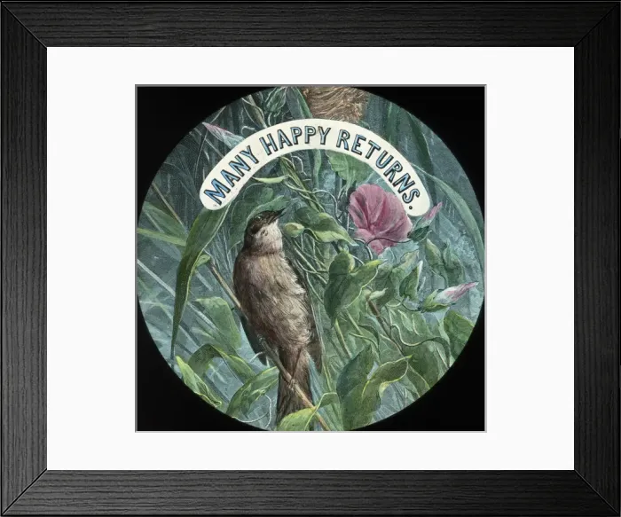 Framed Print : Mottos - Many Happy Returns Framed Print : Mottos - Many Happy Returns