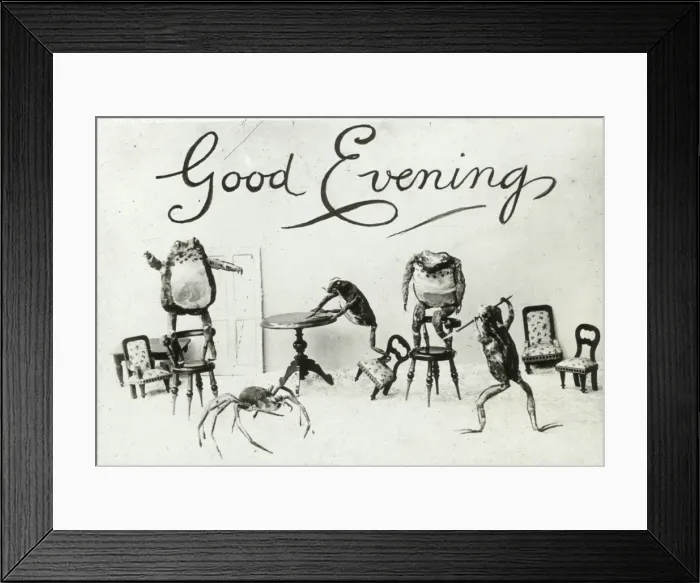 Framed Print : Mottos - Good Evening Framed Print : Mottos - Good Evening