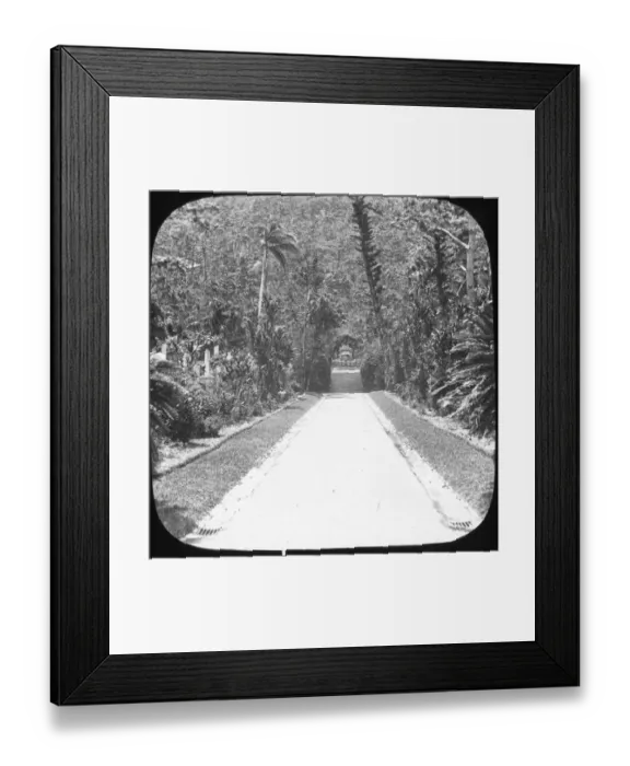 Framed Print : Hong Kong - Happy Valley -2 Framed Print : Hong Kong - Happy Valley -2