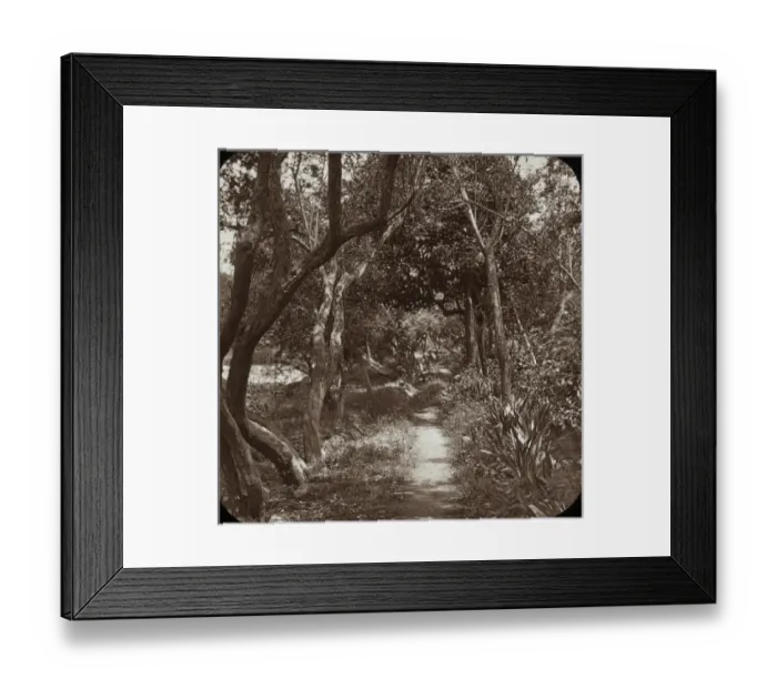 Framed Print : Spain and Portugal - the Calephs Avenue Framed Print : Spain and Portugal - the Calephs Avenue