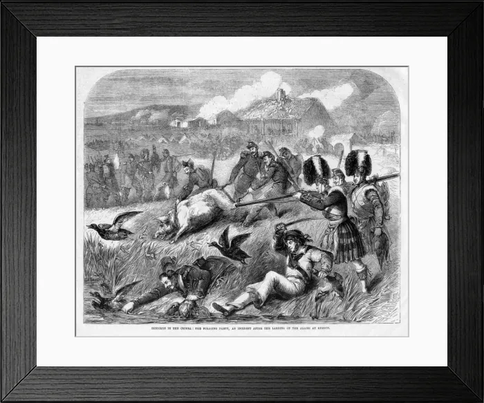 Framed Print : Crimean War, foraging party after landing at Kerch Framed Print : Crimean War, foraging party after landing at Kerch