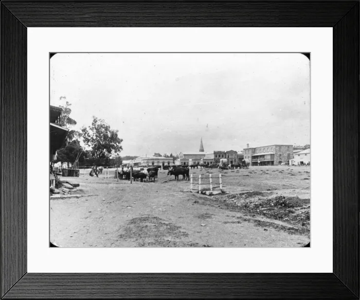 Framed Print : South Africa Cape Colony - View - King Williamstown Marketpl Framed Print : South Africa Cape Colony - View - King Williamstown Marketpl