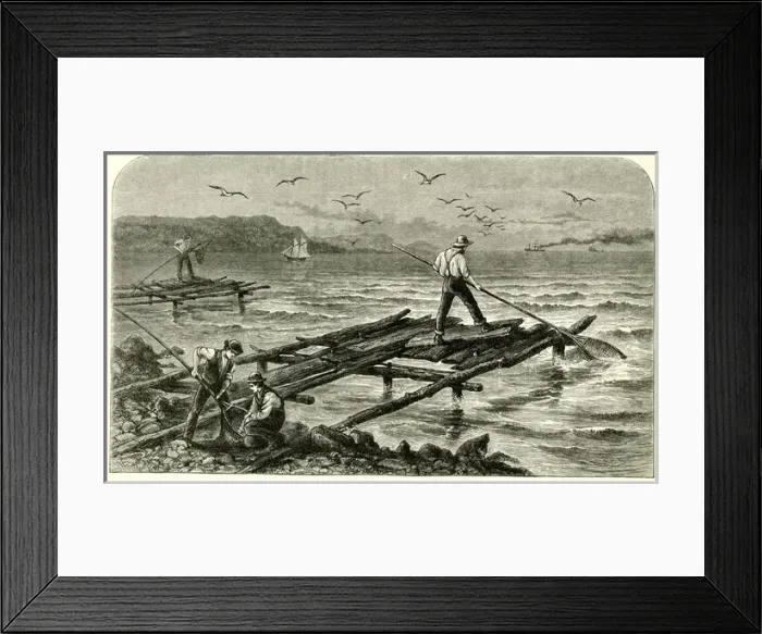 Framed Print : Fishing stages on the St Lawrence River, Canada Framed Print : Fishing stages on the St Lawrence River, Canada
