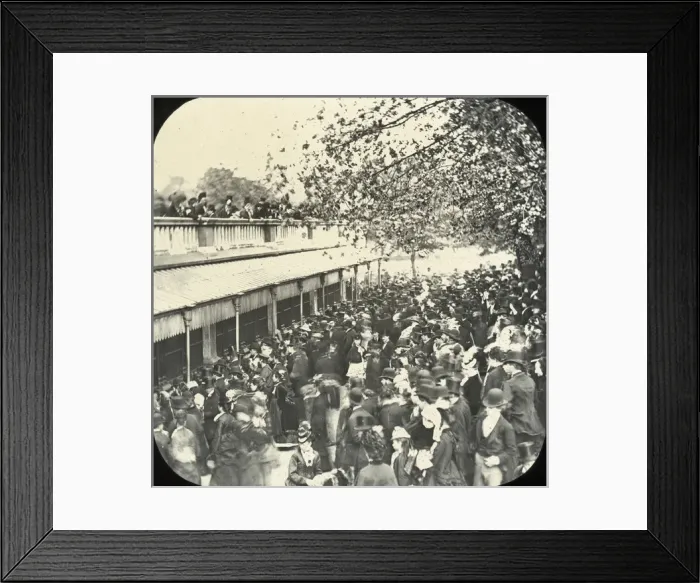 Framed Print : Zoo - Feeding the Lions Framed Print : Zoo - Feeding the Lions