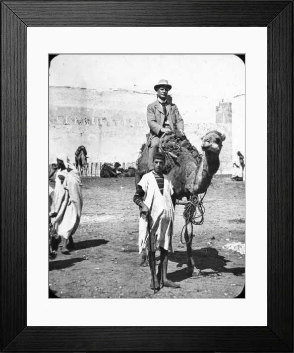 Framed Print : Morocco, North Africa - Camel Ride Framed Print : Morocco, North Africa - Camel Ride
