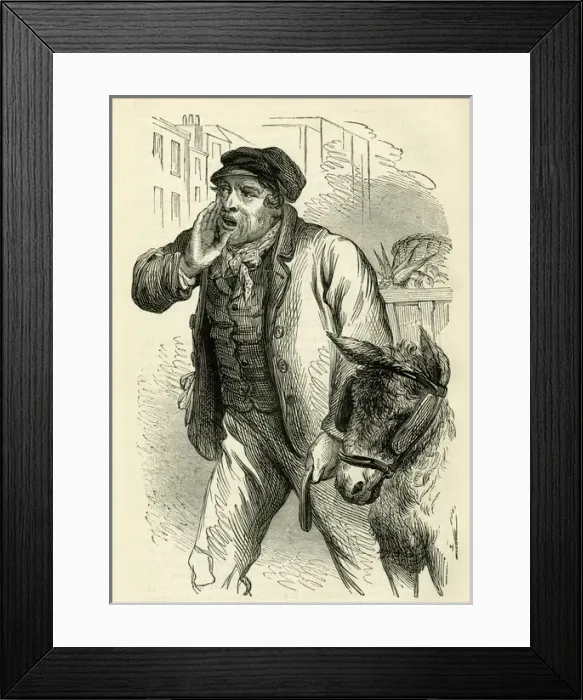 Framed Print : Occupations 1882 - The Costermonger Framed Print : Occupations 1882 - The Costermonger