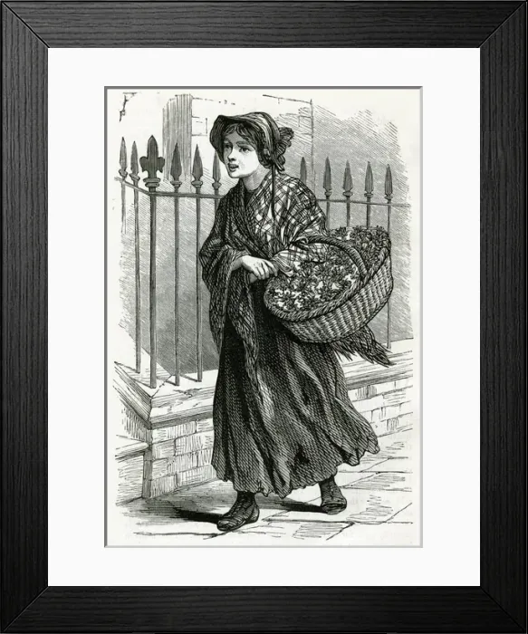 Framed Print : Occupations 1882 - The Water Cress Girl Framed Print : Occupations 1882 - The Water Cress Girl