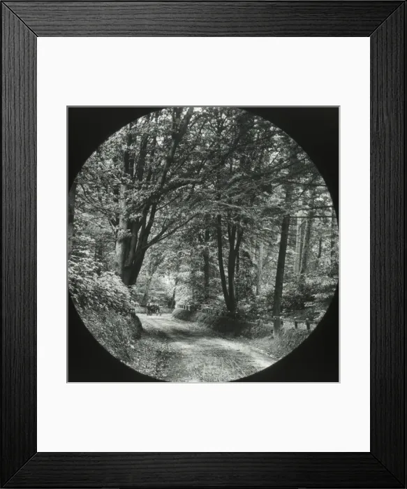 Framed Print : North ripps Lane Framed Print : North ripps Lane