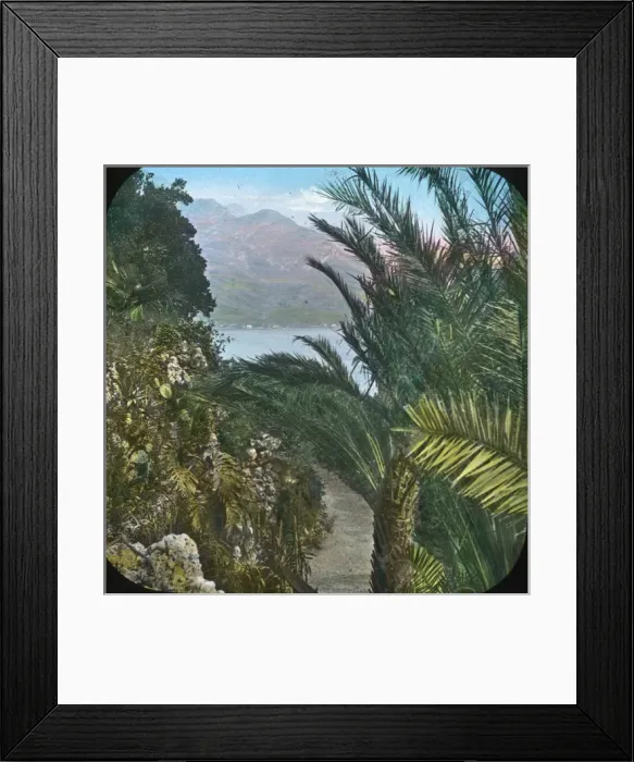 Framed Print : Italian Lakes - Tropical plants Framed Print : Italian Lakes - Tropical plants