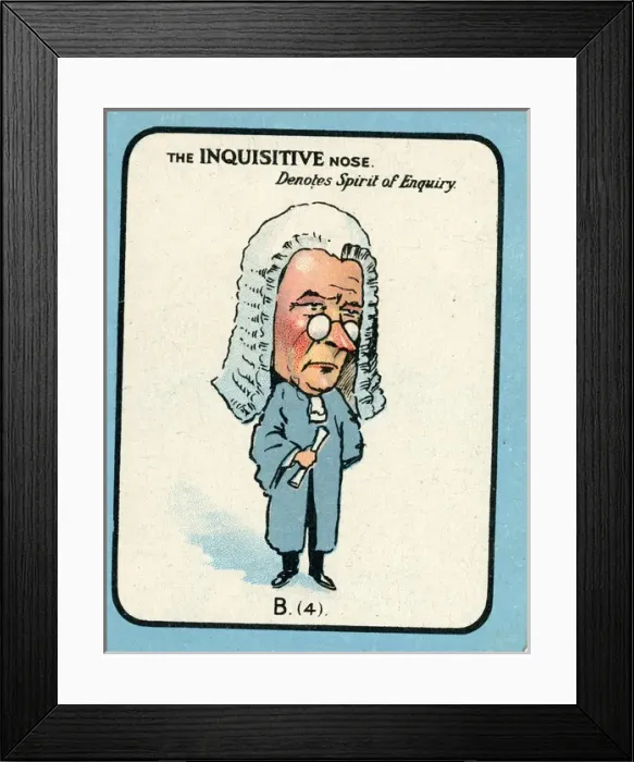 Framed Print : The Nose Game - Inquisitive Nose B4 Framed Print : The Nose Game - Inquisitive Nose B4