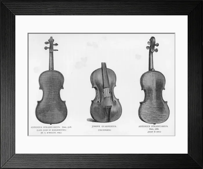 Framed Print : Three violins by Stradivarius and Guarnerius Framed Print : Three violins by Stradivarius and Guarnerius