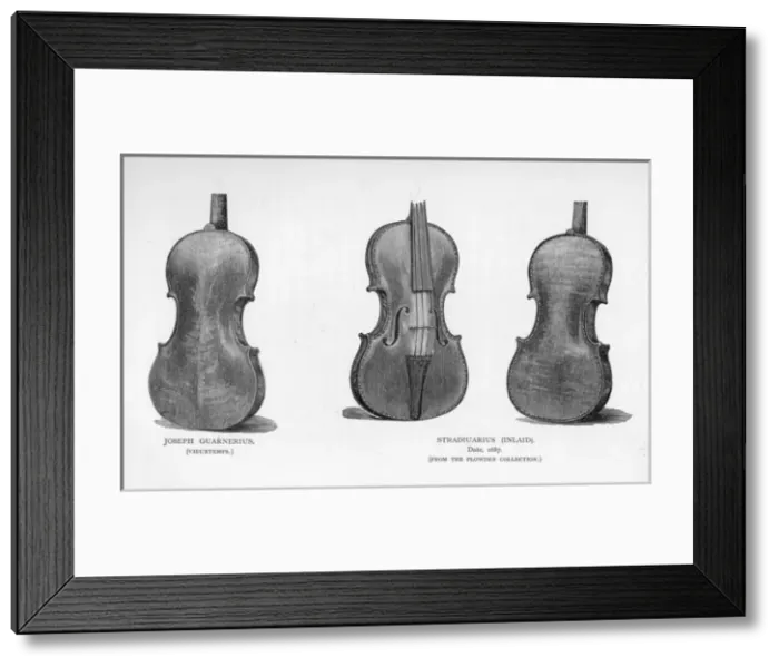 Framed Print : Violins by Stradivarius and Guarnerius Framed Print : Violins by Stradivarius and Guarnerius
