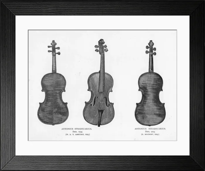 Framed Print : Violins by Stradivarius Framed Print : Violins by Stradivarius