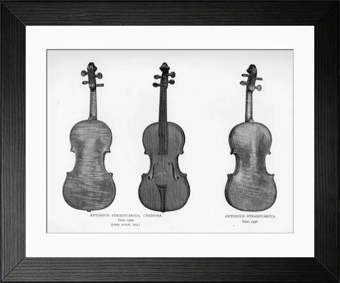 Framed Print : Violins by Stradivarius Framed Print : Violins by Stradivarius