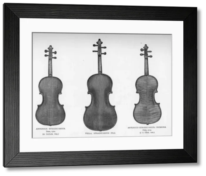 Framed Print : Two violins and a viola by Stradivarius