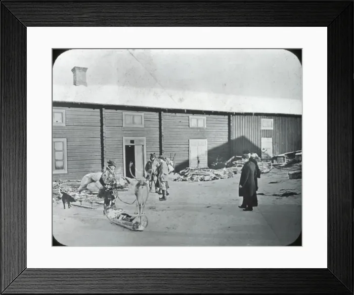 Framed Print : Western Norway - (Laplander) Reindeer & sleigh Framed Print : Western Norway - (Laplander) Reindeer & sleigh