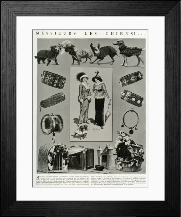 Framed Print : Edwardian accessories for dogs 1912 Framed Print : Edwardian accessories for dogs 1912