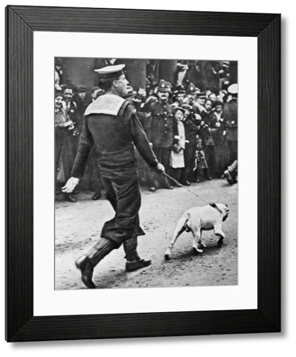 Framed Print : Mascot of the HMS Queen Elizabeth Framed Print : Mascot of the HMS Queen Elizabeth