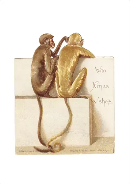 Two monkeys on a cutout Christmas card