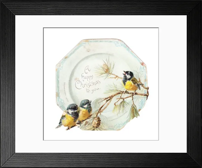 Framed Print : Three blue tits on a plate-shaped Christmas card Framed Print : Three blue tits on a plate-shaped Christmas card