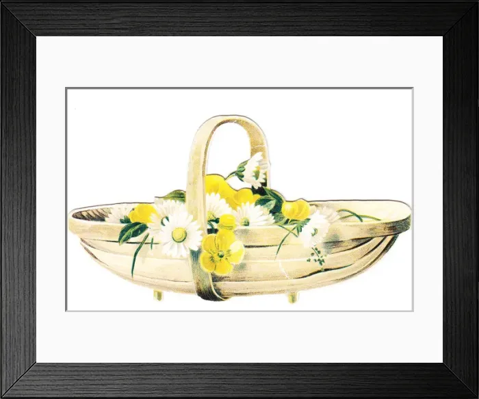 Framed Print : Daisies and buttercups in a basket on a cutout card Framed Print : Daisies and buttercups in a basket on a cutout card