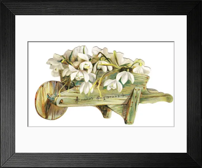Framed Print : Snowdrops in a wheelbarrow on a cutout Christmas card Framed Print : Snowdrops in a wheelbarrow on a cutout Christmas card