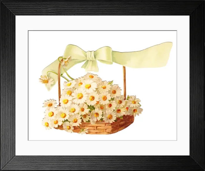 Framed Print : White daisies in a basket on a cutout greetings card Framed Print : White daisies in a basket on a cutout greetings card