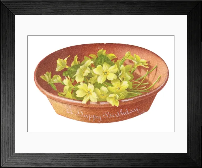 Framed Print : Birthday card in the shape of a dish of primroses Framed Print : Birthday card in the shape of a dish of primroses