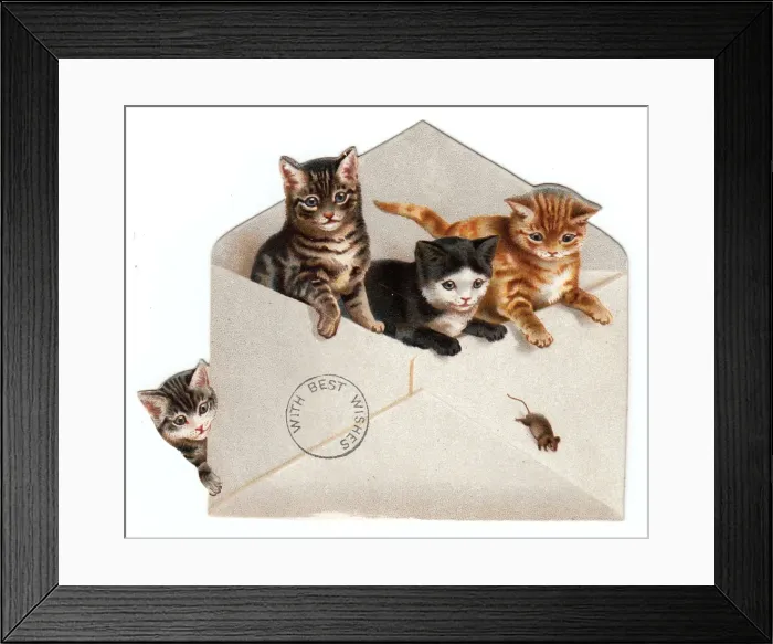 Framed Print : Four kittens and an envelope on a greetings card Framed Print : Four kittens and an envelope on a greetings card