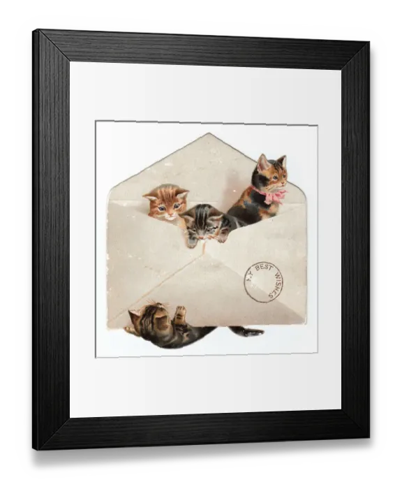 Framed Print : Four kittens in an envelope on a greetings card Framed Print : Four kittens in an envelope on a greetings card