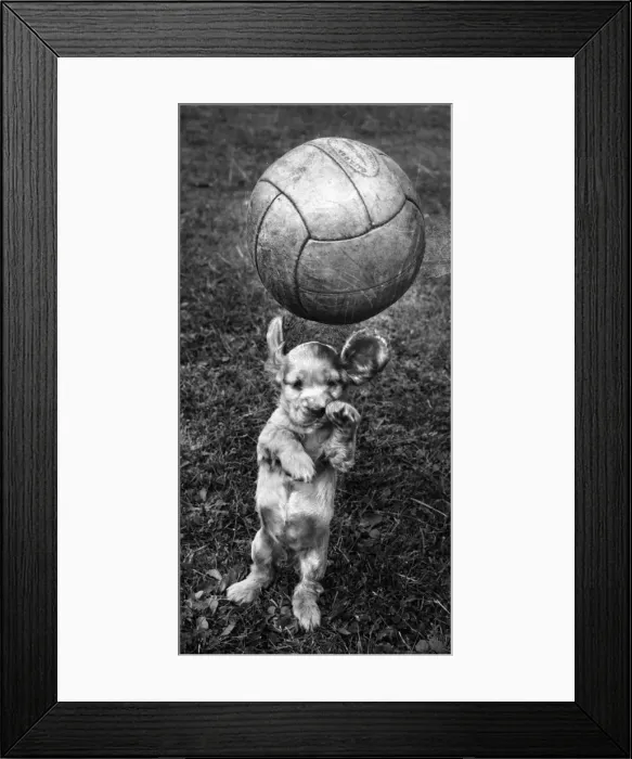 Framed Print : Susi - having fun with a football Framed Print : Susi - having fun with a football