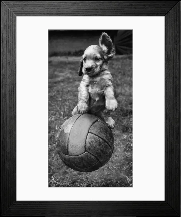 Framed Print : Susi - having fun with a football Framed Print : Susi - having fun with a football