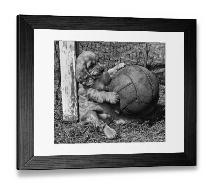 Framed Print : Susi - as goalkeeper Framed Print : Susi - as goalkeeper