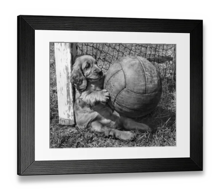 Framed Print : Susi - as goalkeeper Framed Print : Susi - as goalkeeper