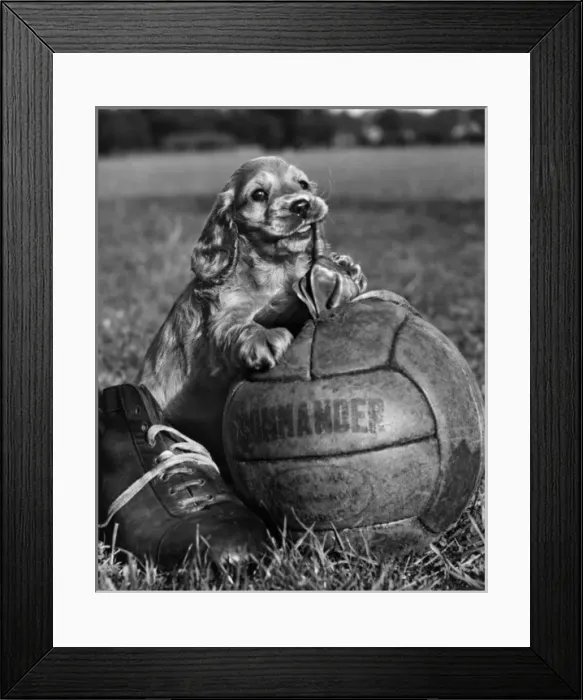 Framed Print : Susi - with football and boot Framed Print : Susi - with football and boot