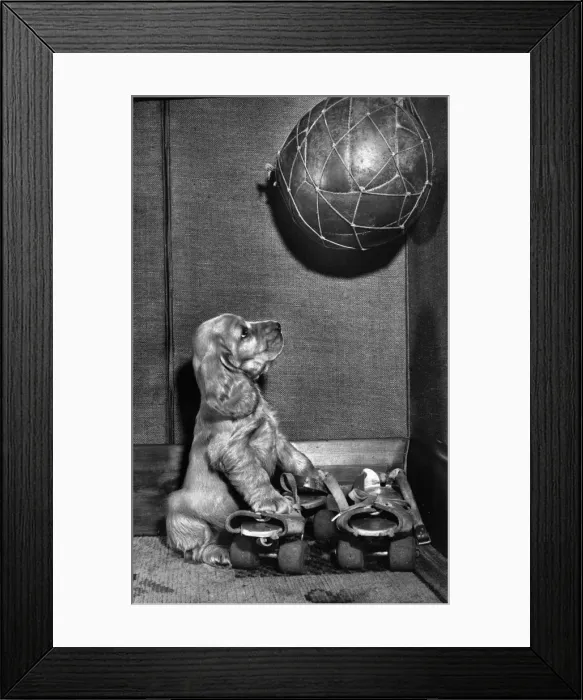 Framed Print : Susi - with football and roller skates Framed Print : Susi - with football and roller skates