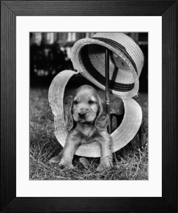 Framed Print : Susi - with broken straw hat Framed Print : Susi - with broken straw hat