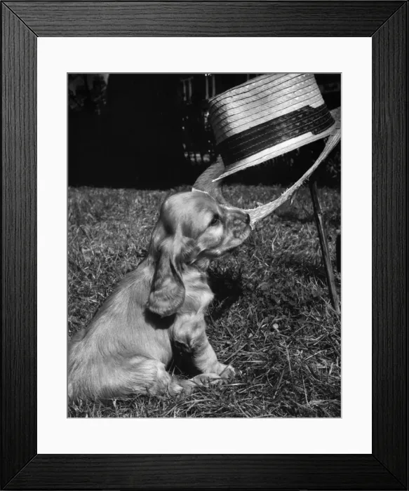 Framed Print : Susi - with straw hat and gardening tools Framed Print : Susi - with straw hat and gardening tools