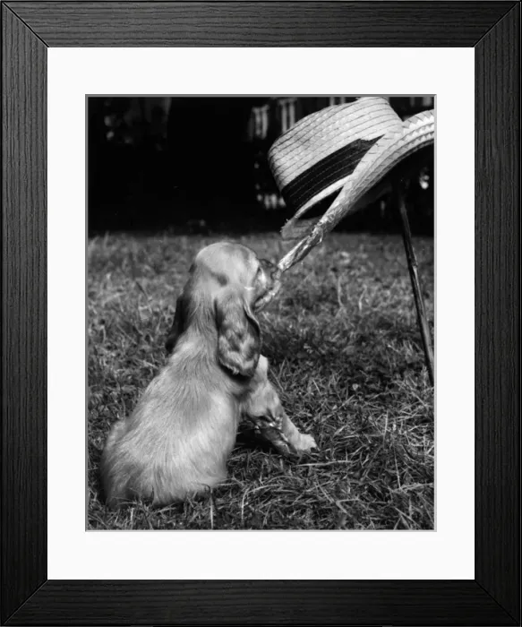 Framed Print : Susi - with straw hat and gardening tools Framed Print : Susi - with straw hat and gardening tools
