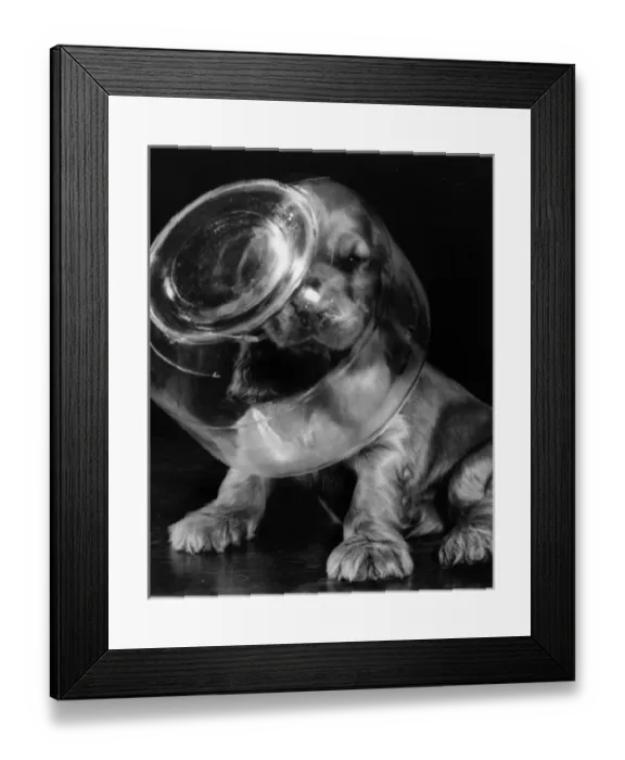 Framed Print : Susi - with head inside glass jar Framed Print : Susi - with head inside glass jar