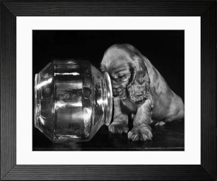 Framed Print : Susi - with empty glass bowl Framed Print : Susi - with empty glass bowl