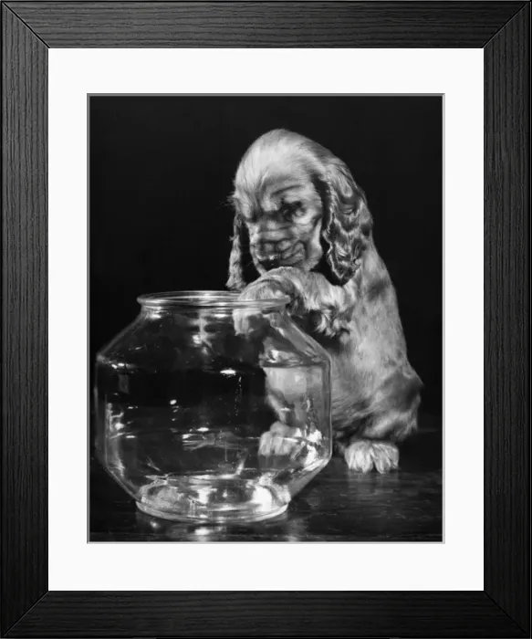 Framed Print : Susi - with empty glass bowl Framed Print : Susi - with empty glass bowl