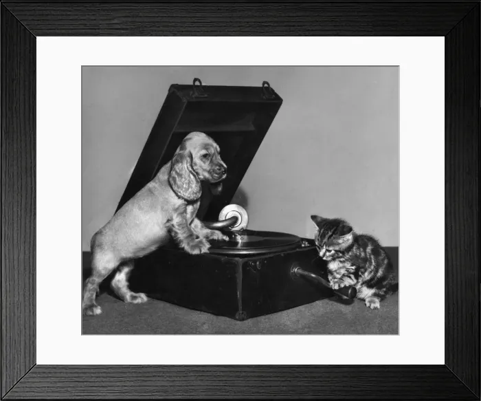 Framed Print : Susi - with kitten and record player Framed Print : Susi - with kitten and record player