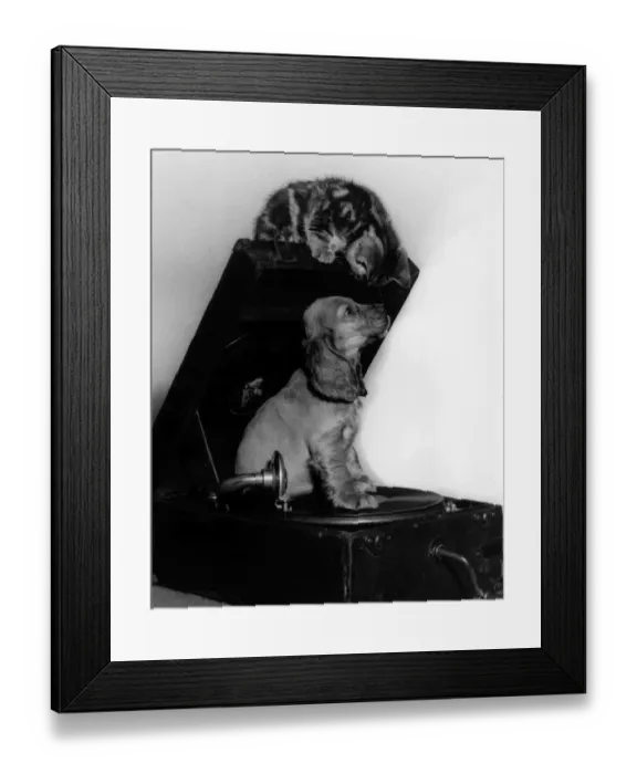 Framed Print : Susi - with kitten and record player Framed Print : Susi - with kitten and record player
