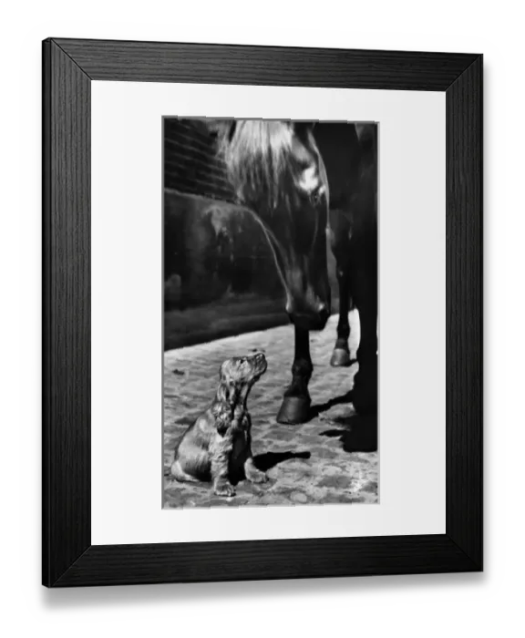 Framed Print : Susi - with a horse Framed Print : Susi - with a horse