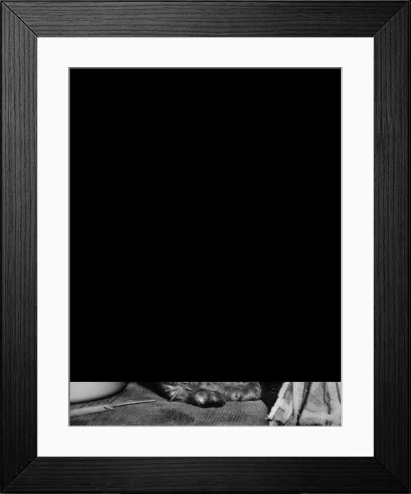 Framed Print : Susi - with kitten, bowl, brush and towel Framed Print : Susi - with kitten, bowl, brush and towel
