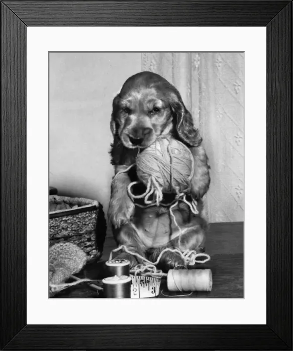 Framed Print : Susi - with ball of wool and sewing things Framed Print : Susi - with ball of wool and sewing things
