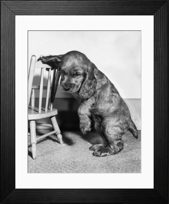 Framed Print : Susi - with wooden chair Framed Print : Susi - with wooden chair